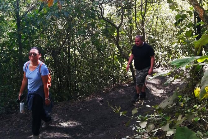 Pacaya Volcano Tour and Hot Springs from Guatemala City - What the Pacaya hike is really like