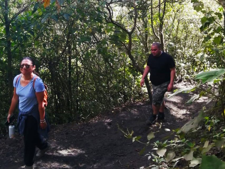 Pacaya Volcano Tour & Hot Springs from Guatemala City - The Lava Store and the descent