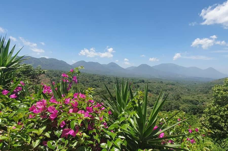 San Salvador: Full Day Ruta de Las Flores and Coffee Farm - Concepcion de Ataco: Murals, Food, and Weekend Energy