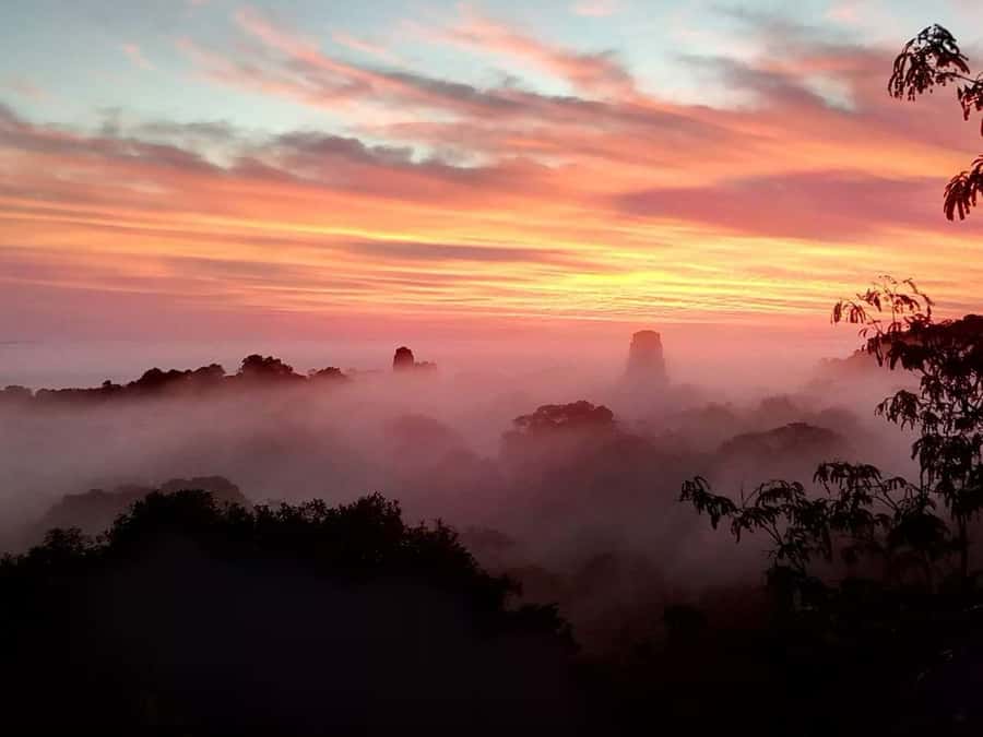 Tikal Day Group Tour - The early pickup and ride from Flores