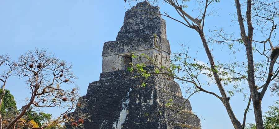 Tikal from Hotel Camino Real El Remate - All Inclusive - Is $115 a Fair Price?
