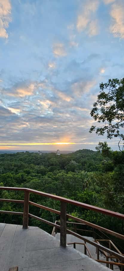 Tikal from Hotel Camino Real El Remate - All Inclusive - Starting at the Visitor Center