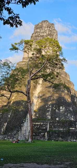 Tikal from Hotel Camino Real El Remate - All Inclusive - The Temples and Plazas That Define Tikal