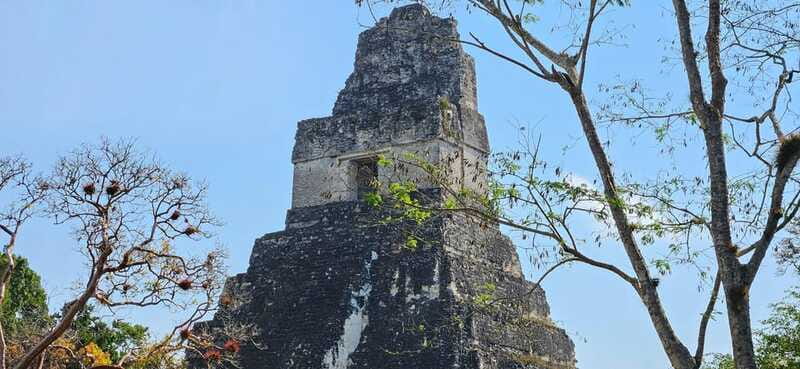 Tikal from Hotel Camino Real El Remate - All Inclusive - Lunch at About 1 p.m.
