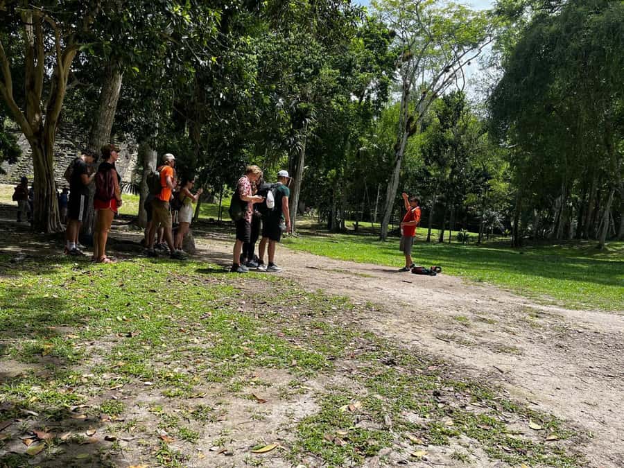 Tikal Group Tour from Flores - Three Hours Among Temples and Plazas