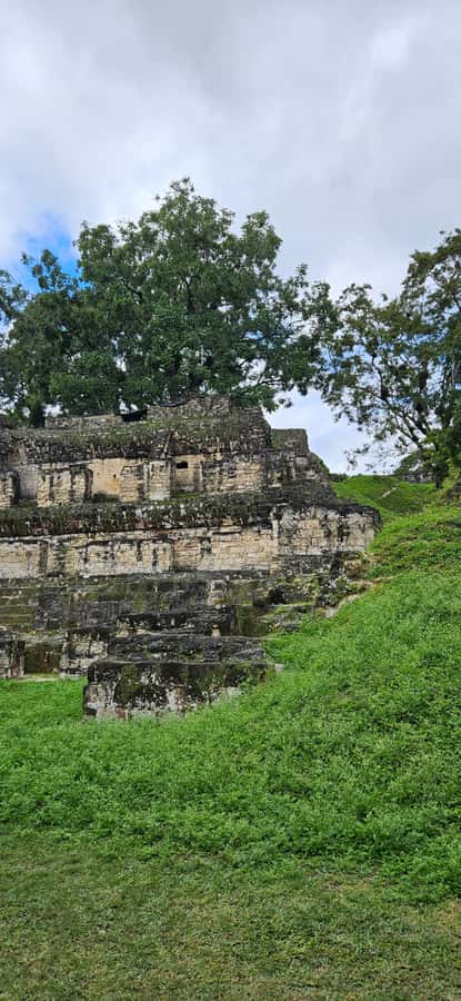 Tikal Group Tour Transportation, Guide plus Lunch - Key points before you book