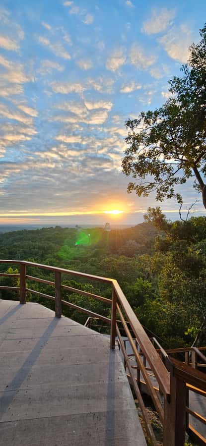 Tikal Group Tour Transportation, Guide plus Lunch - Why Tikal is worth the early start