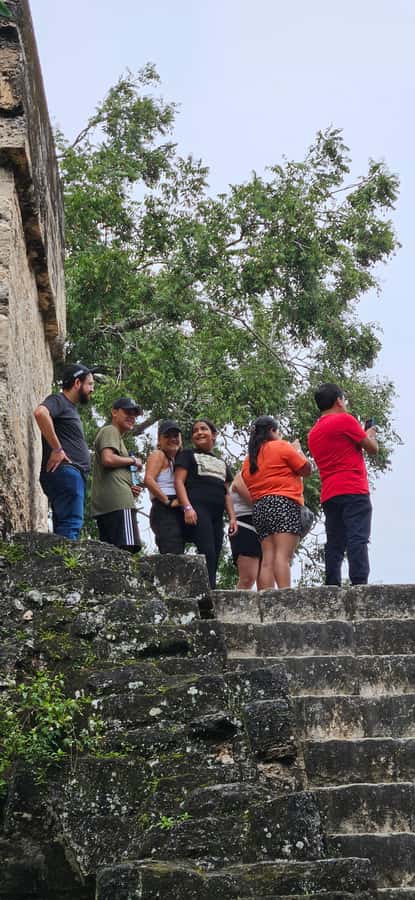 Tikal Group Tour Transportation, Guide plus Lunch - Starting at the Tikal model and national tree