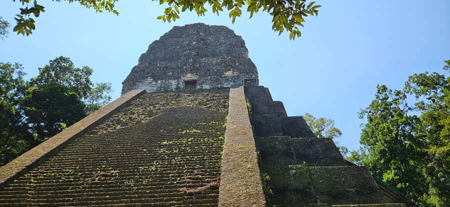 Tikal Group Tour Transportation, Guide plus Lunch - Lunch after the three-hour visit