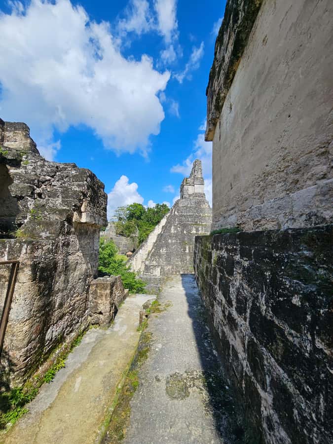 Tikal Group Tour Transportation, Guide plus Lunch - The ride from Flores to the forest