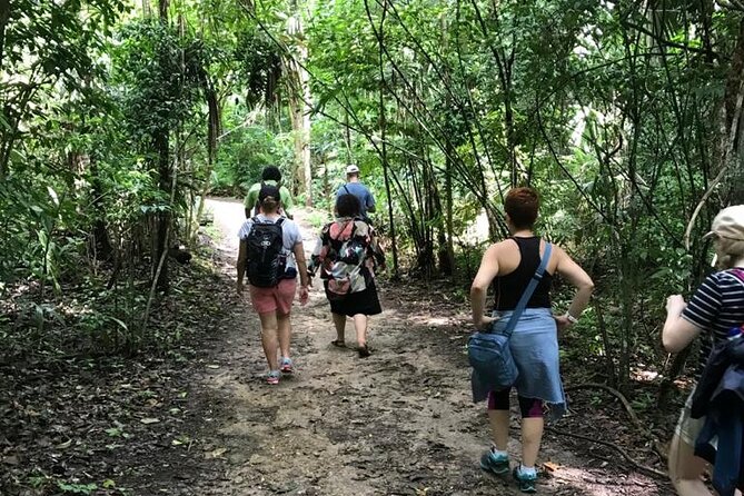 Tikal Private Day Tour Maya Adventure from Flores - Lunch, a forest walk, and the ride home