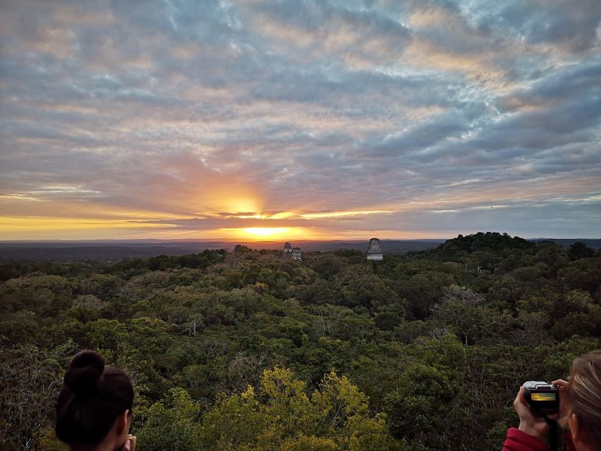 Tikal Sunrise, Archeological focus and Wildlife Spotting - Wildlife spotting on the forest trails