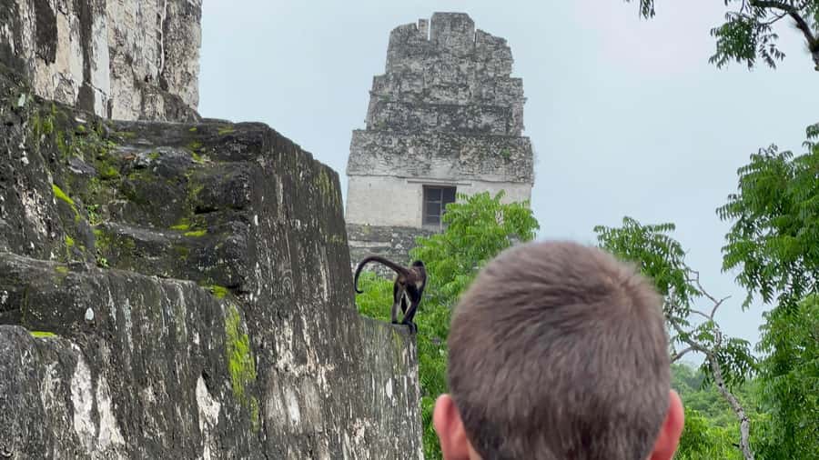 Tikal Sunrise, Archeological focus and Wildlife Spotting - Food, walking, and the long morning