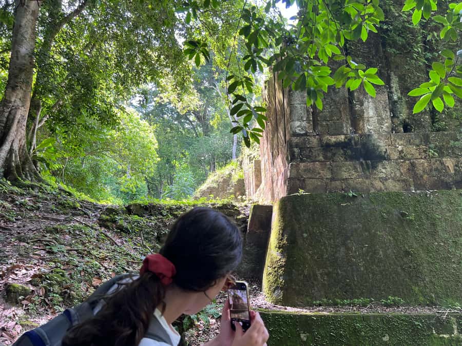 Tikal Sunset, Archeological focus and Wildlife Spotting - The Lost World and Sunset From the Great Pyramid