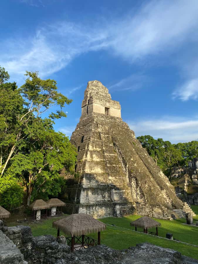 Tikal Sunset Experience: Archaeological Tour + Sunset Views - Arriving at Tikal and handling the entrance ticket