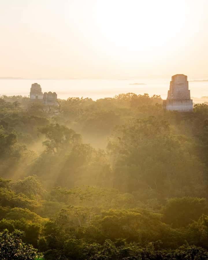 Tour and transportation with tour guide to Tikal. - The 80-minute ride to Tikal