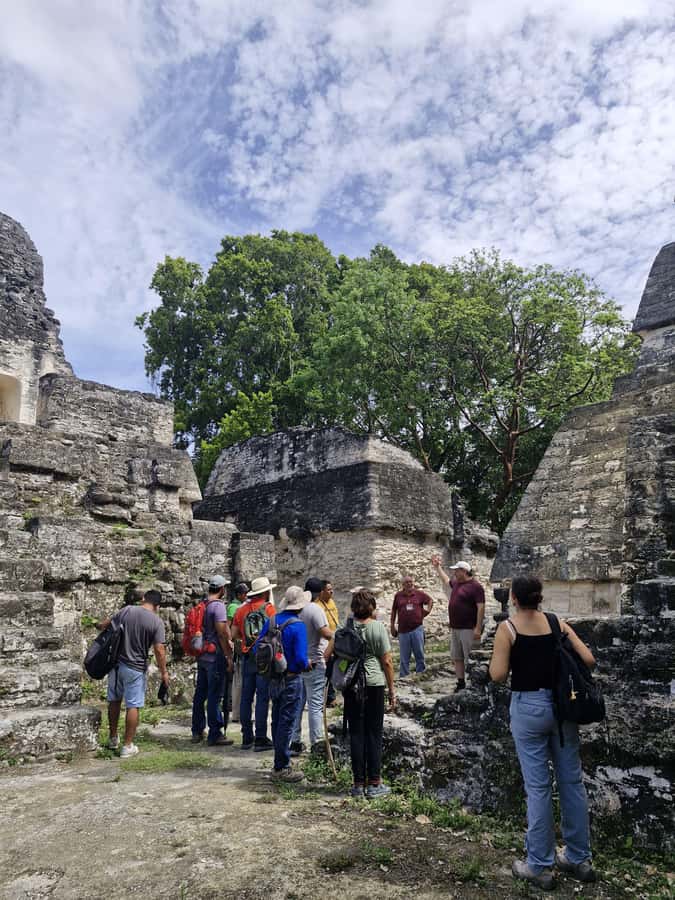Tour and transportation with tour guide to Tikal. - The real cost of a $20 Tikal trip