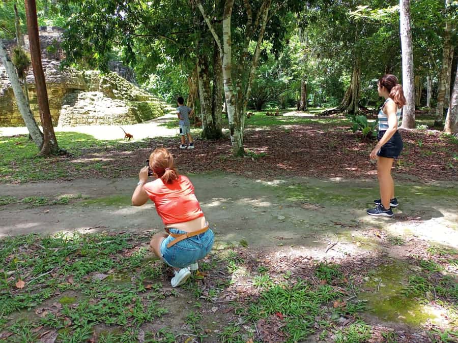 Tour to Tikal: from Mundo Maya Airport in Flores - Climbing the Lost World pyramid